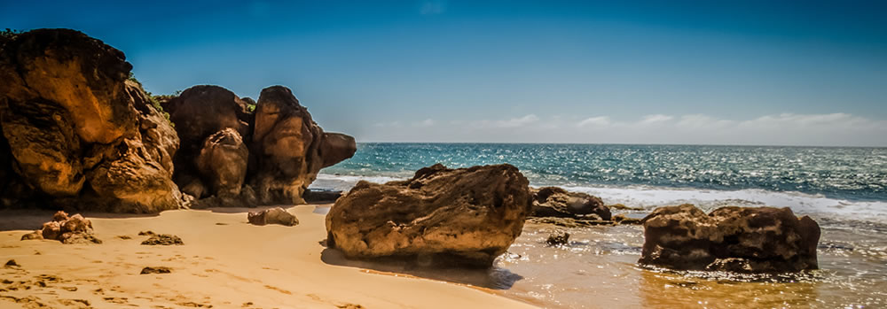 Sunny coastal scene